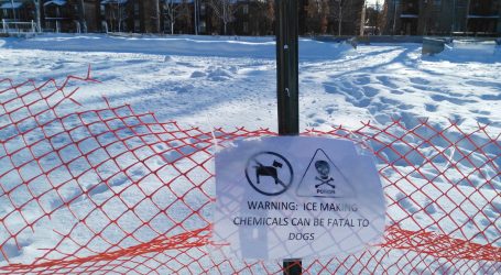 False warning signs found at McNabb Park