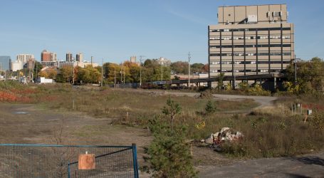 Council gives grant to 900 Albert St. project