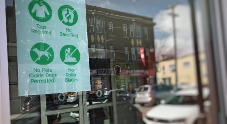 City tightens leash on service and support animal regulations