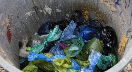 Green Bin plan to include dog poop, plastic sparks uproar